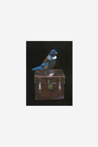Tui's Case Art Print Box Frame