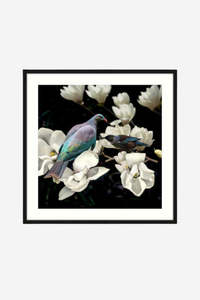 Wall Art: Magnolia Affair Framed Print