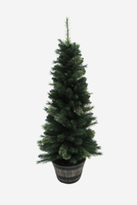 Christmas Trees: Green Potted Xmas Tree 5Ft
