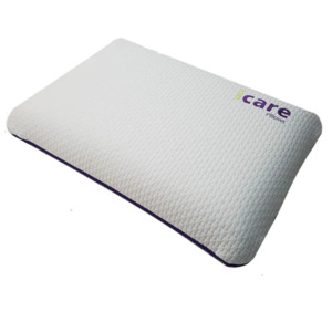 Icare ActiveX Classic Pillow