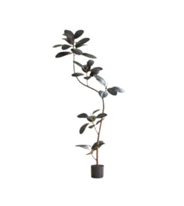 Artificial Plants Nz: RUBBER FIG TREE