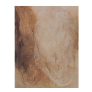 Paint on Canvas | 600x800mm | Earth Tones