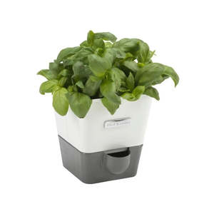 Cole Mason: Cole & Mason Self Watering Herb Keeper Single