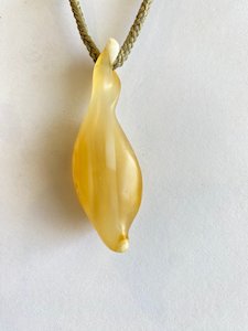 Products: Carnelian Seaweed Vesicle