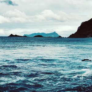 Products: Homeground Gift Card - AMIE REDPATH Artist