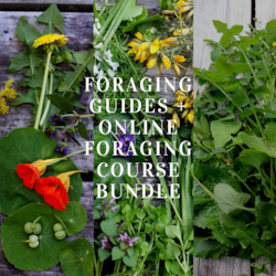 Foraging Guides: Foraging Guides + Online Foraging Course Bundle