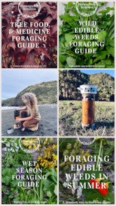 Foraging Guides: Thermette + Foraging Guides Bundle