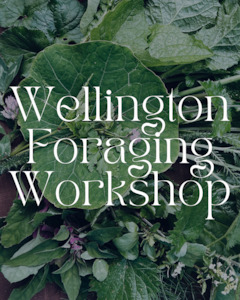 Wellington Foraging Workshops