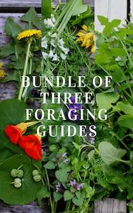 Foraging Workshops: BUNDLE of 3 x Foraging Guides ~ Edible Weeds focus