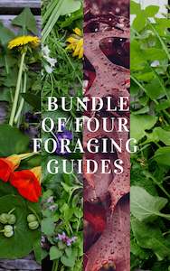 BUNDLE of 4 x Foraging Guides ~ Edible Weeds + Trees