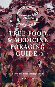Foraging Guides: Tree Food & Medicine Foraging Guidebook