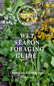 Foraging Guides: Wet Season Wild Edible Weeds Foraging Guidebook