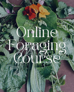 Foraging for Wild Edible Plants ~ Online Video Foraging Course