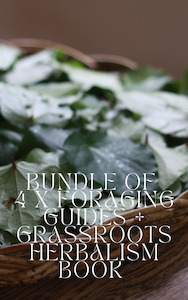 Foraging Guides: 5 X Books Bundle : Foraging + Herbalism