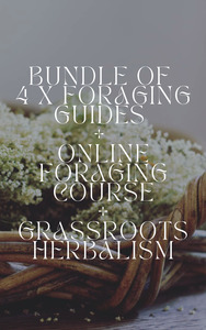 Foraging Workshops: Foraging Guides x 4 + Online Foraging Course + Grassroots Herbalism Bundle
