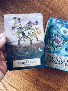 Foraging Guides: Herbalism Bundle ~ Grassroots Herbalism Guide + Herbal Astrology Oracle