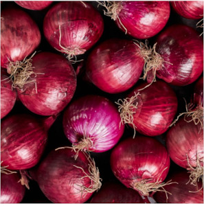 Red Onion 1kG