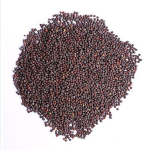 Spices And Masalas: Quality Mustard Seeds 250g