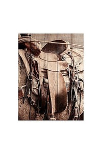 Products: Back in the Saddle - Wood panel art - Homelandz