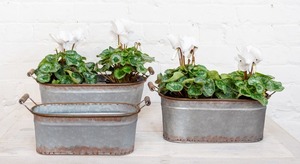 Products: Farmhouse Long Oval Tubs - Set of 3 - Homelandz