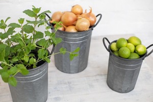 Products: Metal Garden Pails - Set of 3 - Homelandz %
