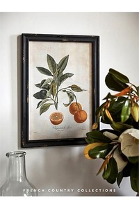 Products: SET of 4 Botanical Wall Art - Homelandz