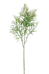 New: Grevilliea Leaf Spray 60cm