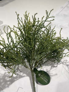Plants Flowers: Coral Grass Bush - 28cm
