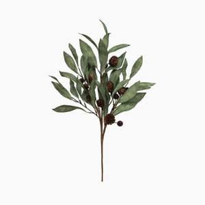 Eucalyptus & Brown Berry Wood Branch