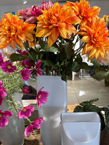 Plants Flowers: Carmen Dahlia Orange/Yellow