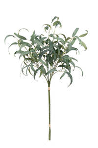 Plants Flowers: Eucalyptus Spray Bundle Grey-Green 96.5cm