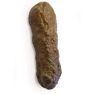 Gifting: DOG POOP PRACTICAL JOKE