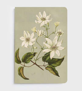 Lettuce Soft Cover Notebook - Clematis Indivisa