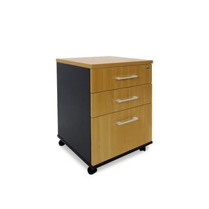 Filing: Delta 2-Drawer & File Mobile Storage Unit