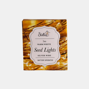 5m Silver Warm White 50 LED Seed Lights