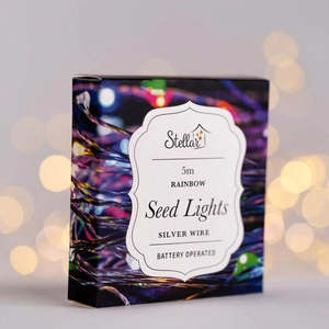Home Away From Home: 5m Silver Rainbow 50LED Seed Lights