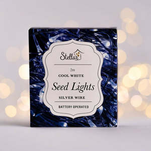 2m Silver Cool White 20 LED Seed Lights