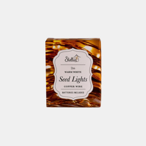 Home Away From Home: 2m Copper Warm White 20 LED Seed Lights