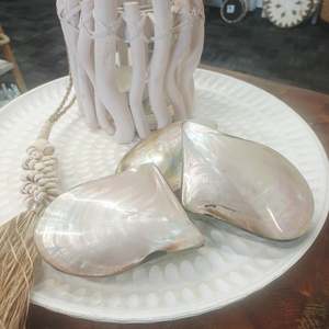 Natural Shell Jewellery Box