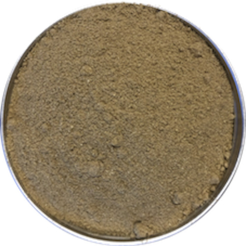 Herbs Spices Stock: Fennel Seeds - Ground