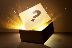 Enchanted Mead Collection - Honey Bandit: November mystery box