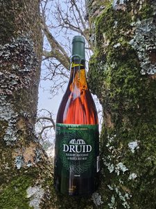 Druid