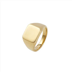Fashion Jewellery: IP 14K Gold Polished Stainless Steel Signet Ring