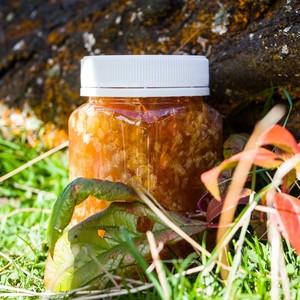 Products: Manuka Honey in Honeycomb – 1kg – Honey by Wrights
