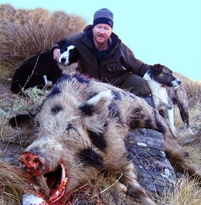 Products: Mainland Boar Hunting