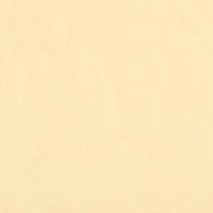 Golden Haze Womens Short Sleeved Top