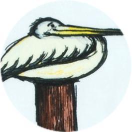 Fixit Kits: Pelican Fix It Kit (2-pack)