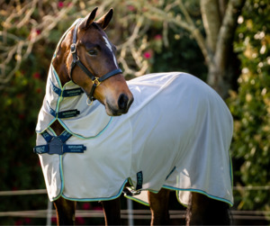 Amigo XL Bug Rug Disc Front