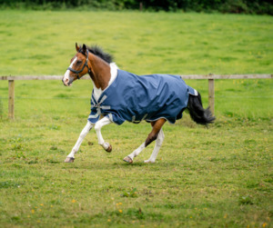 Amigo 1200D XL Turnout