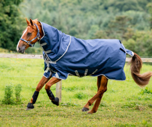 Turnout Rugs: Amigo 1200D Plus Turnout 50g
